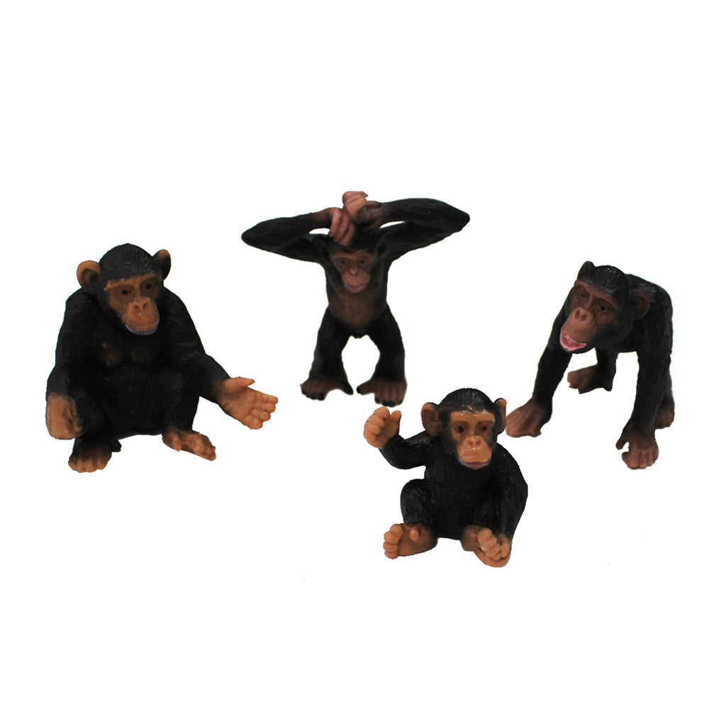 Chimpanzees - 4pc - Educating Kids