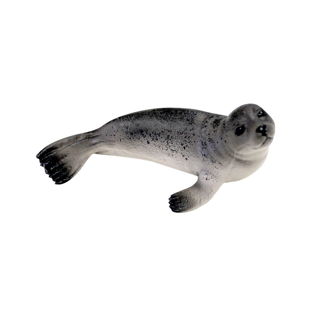 Sea Lion - Educating Kids