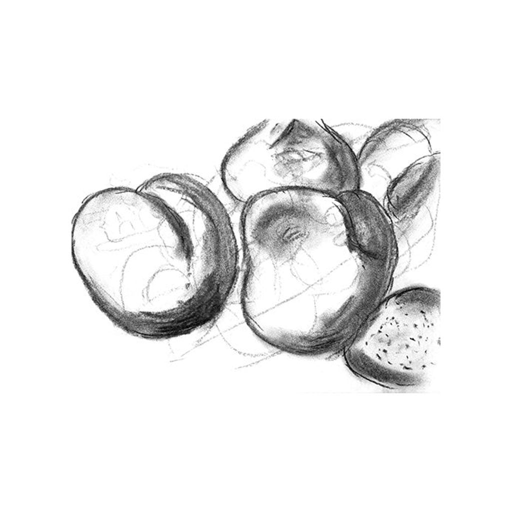 Soft Pastel Compressed Charcoal - Pack of 12 - Educating Kids