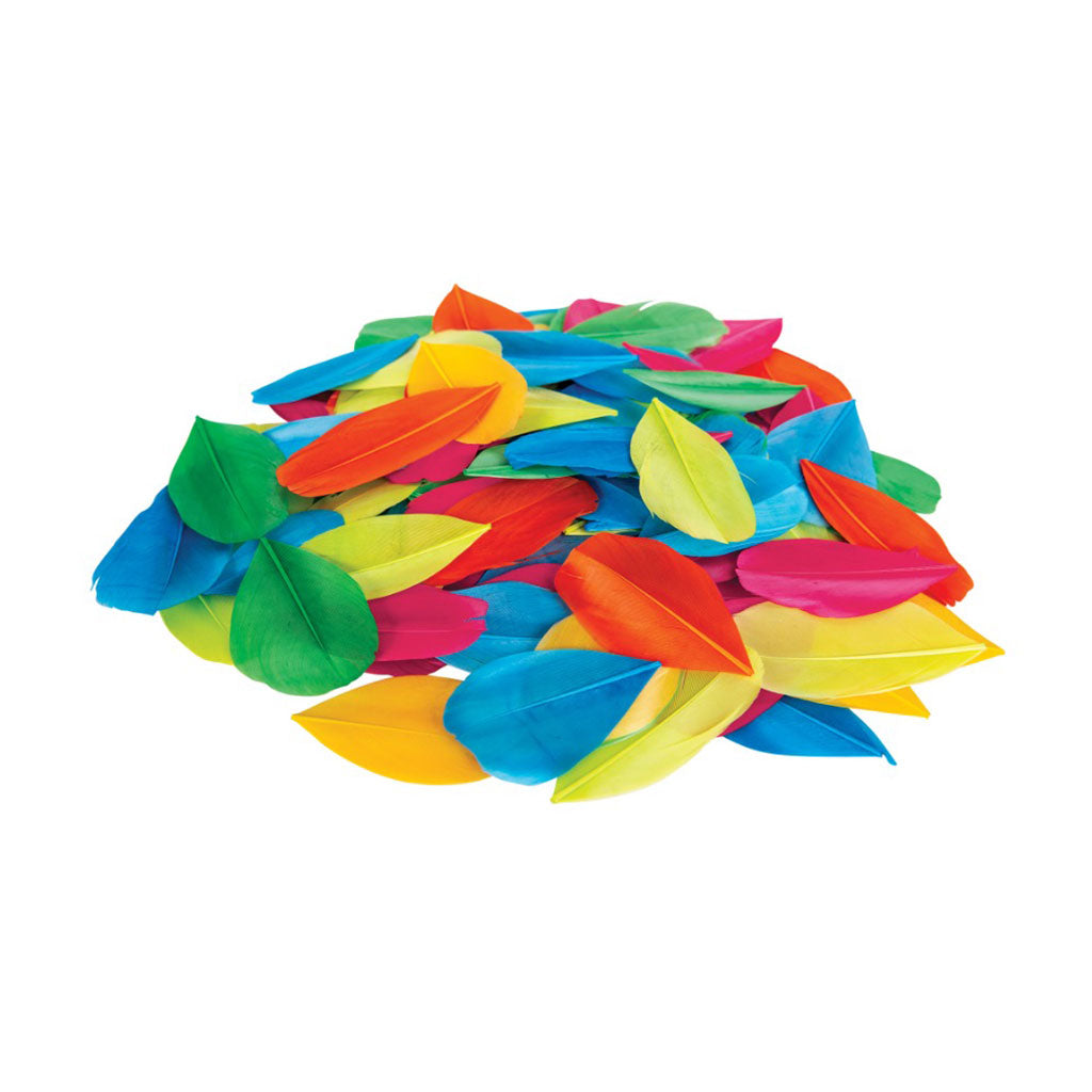 Trimmed Feathers Assorted - 20g - Educating Kids