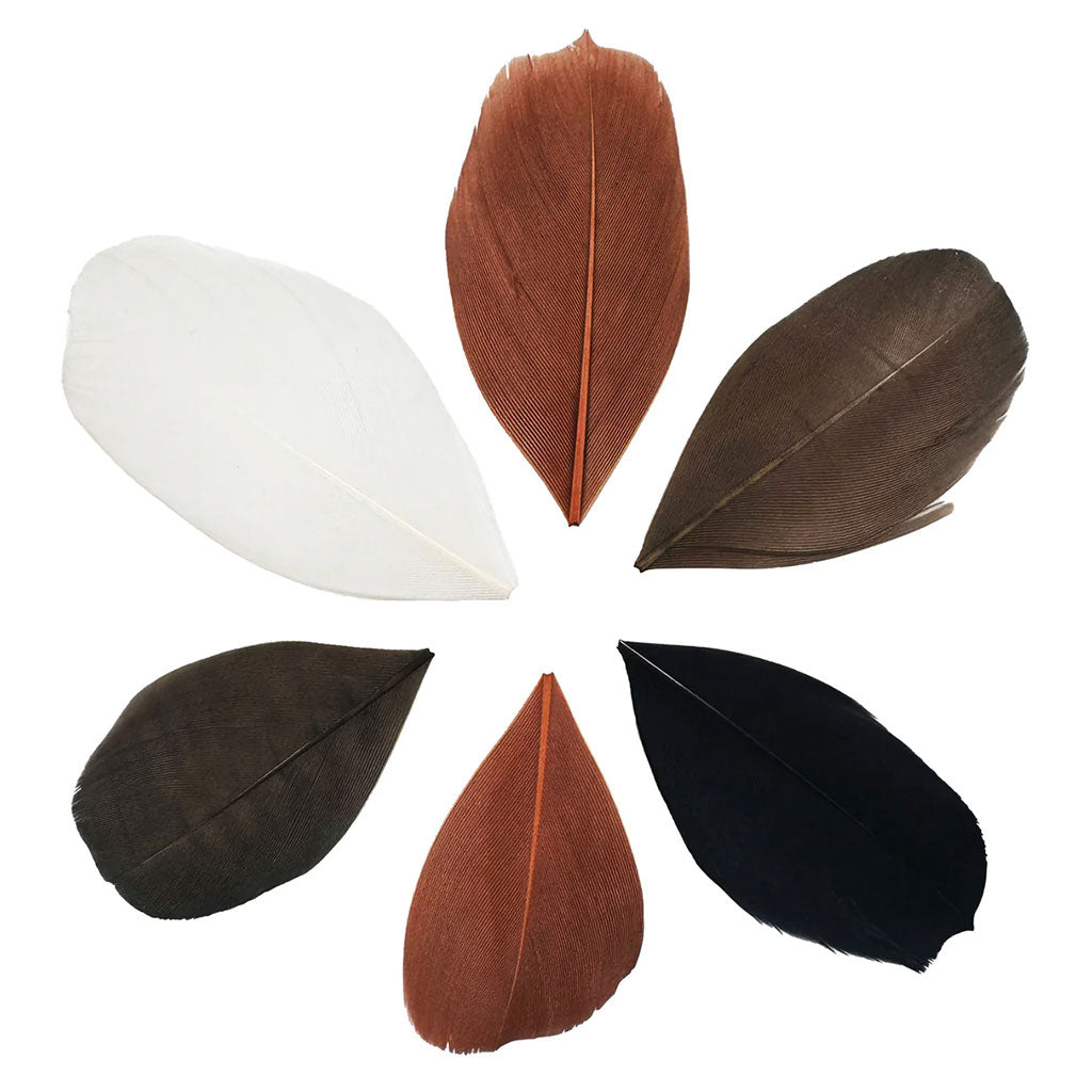 Trimmed Feathers Natural - 20g - Educating Kids