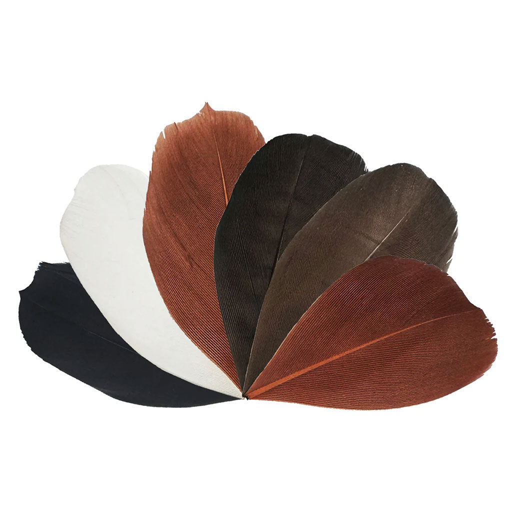 Trimmed Feathers Natural - 20g - Educating Kids