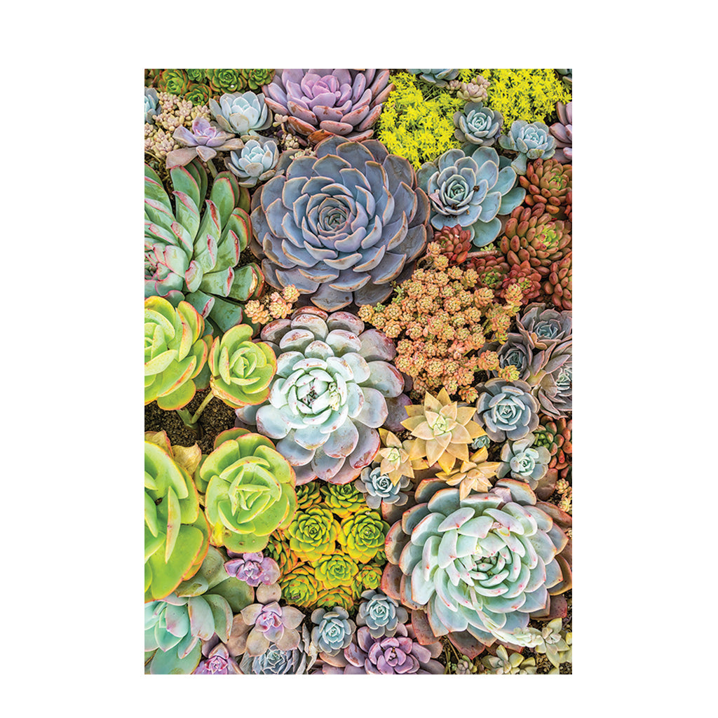 Foliage Pattern Paper A4 - Pack of 40 - Educating Kids