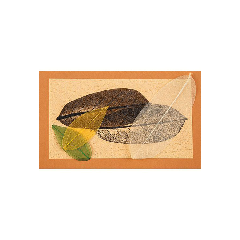 Skeleton Leaves Natural - Pack of 100 - Educating Kids