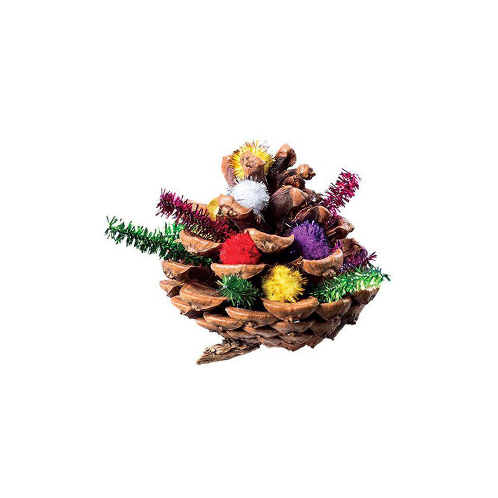 Pine Cones - 4-6cm - 200gm - Educating Kids