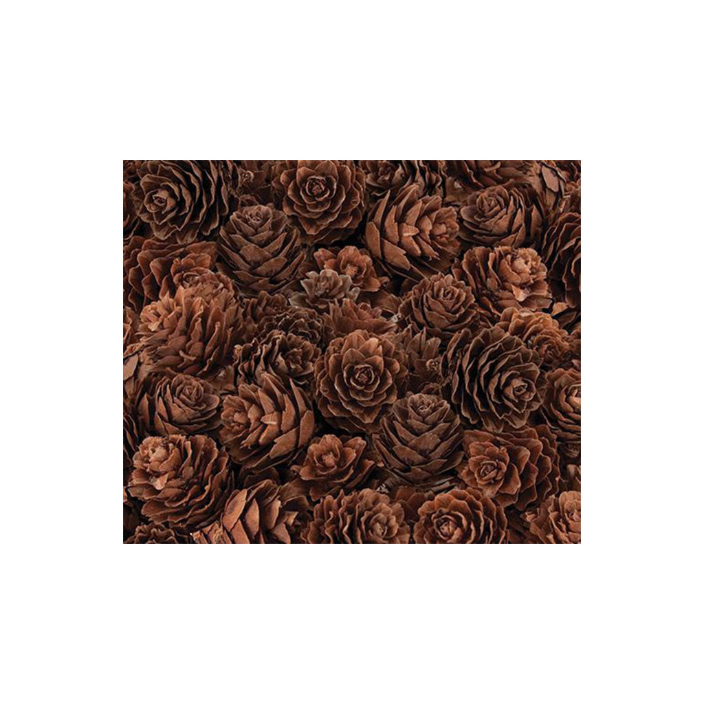Pine Cones Mini - 190g Bag - Educating Kids