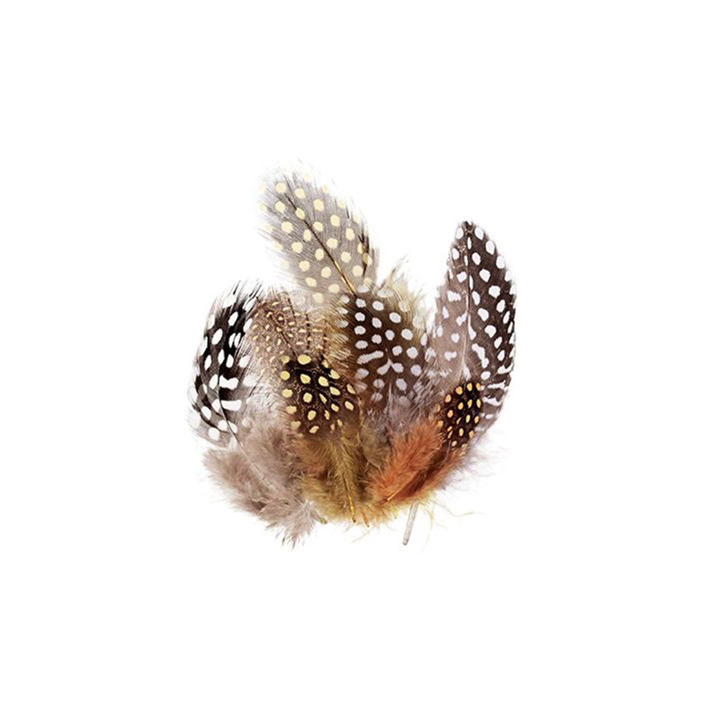Guinea Fowl Feathers Natural Pack of 10g - Educating Kids