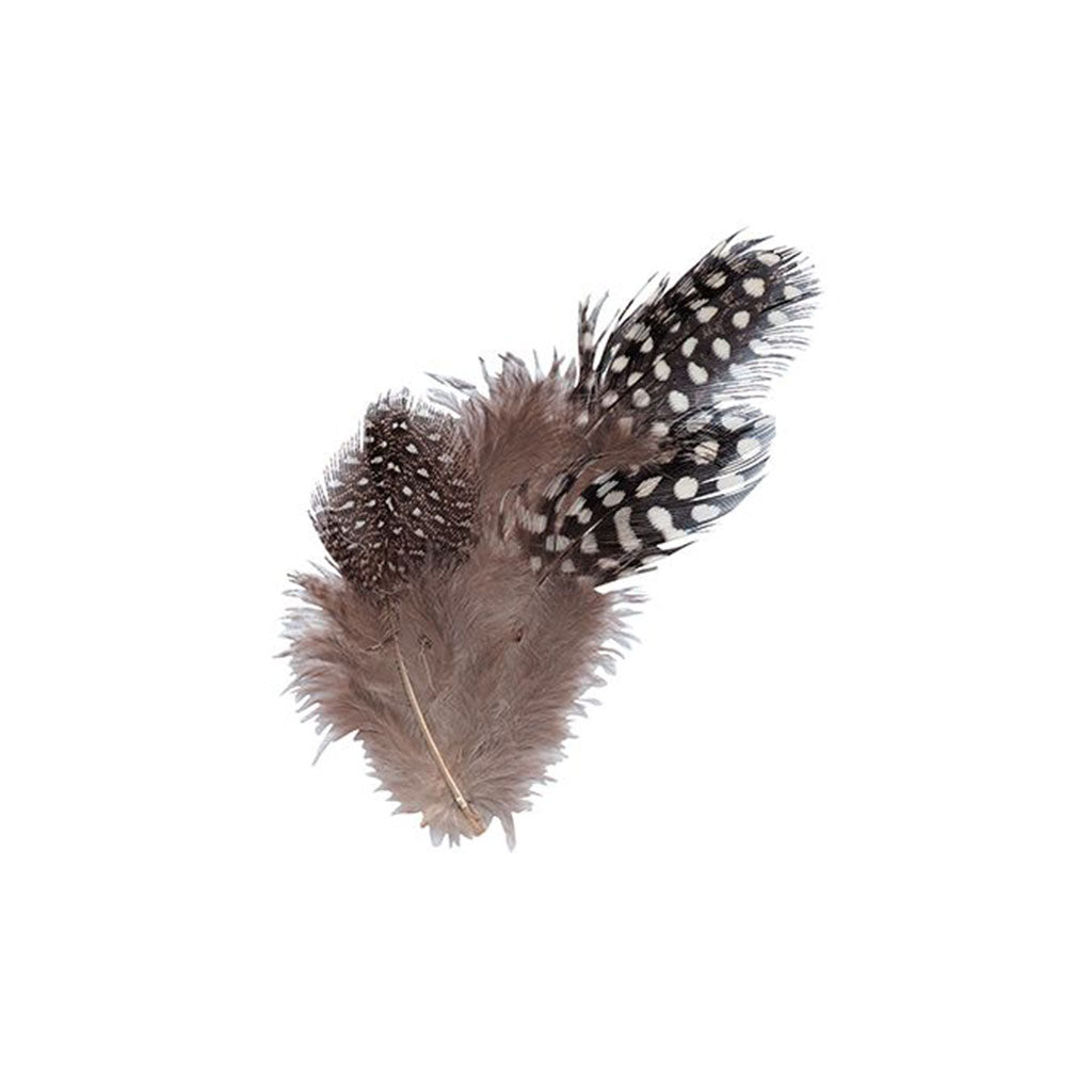 Guinea Fowl Feathers Natural Pack of 10g - Educating Kids