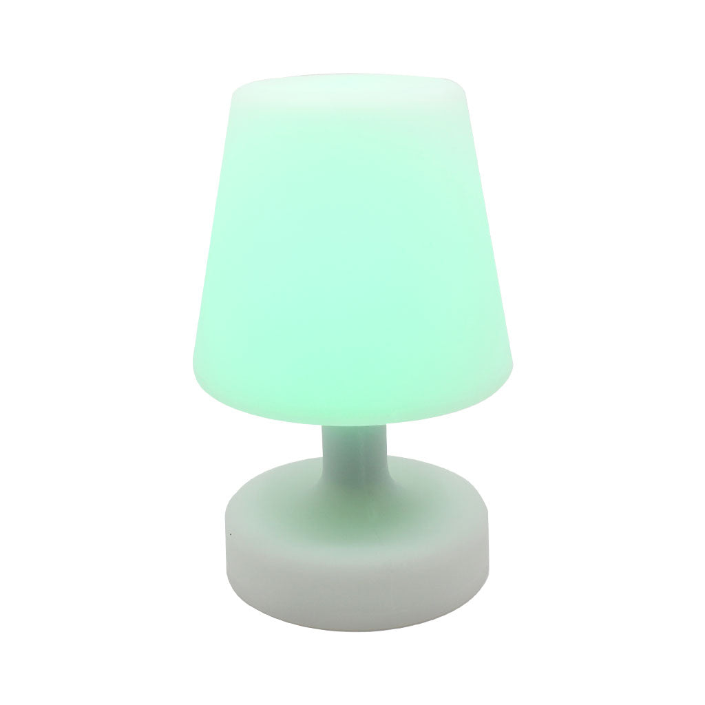 1668-LAMP02_large.jpg
