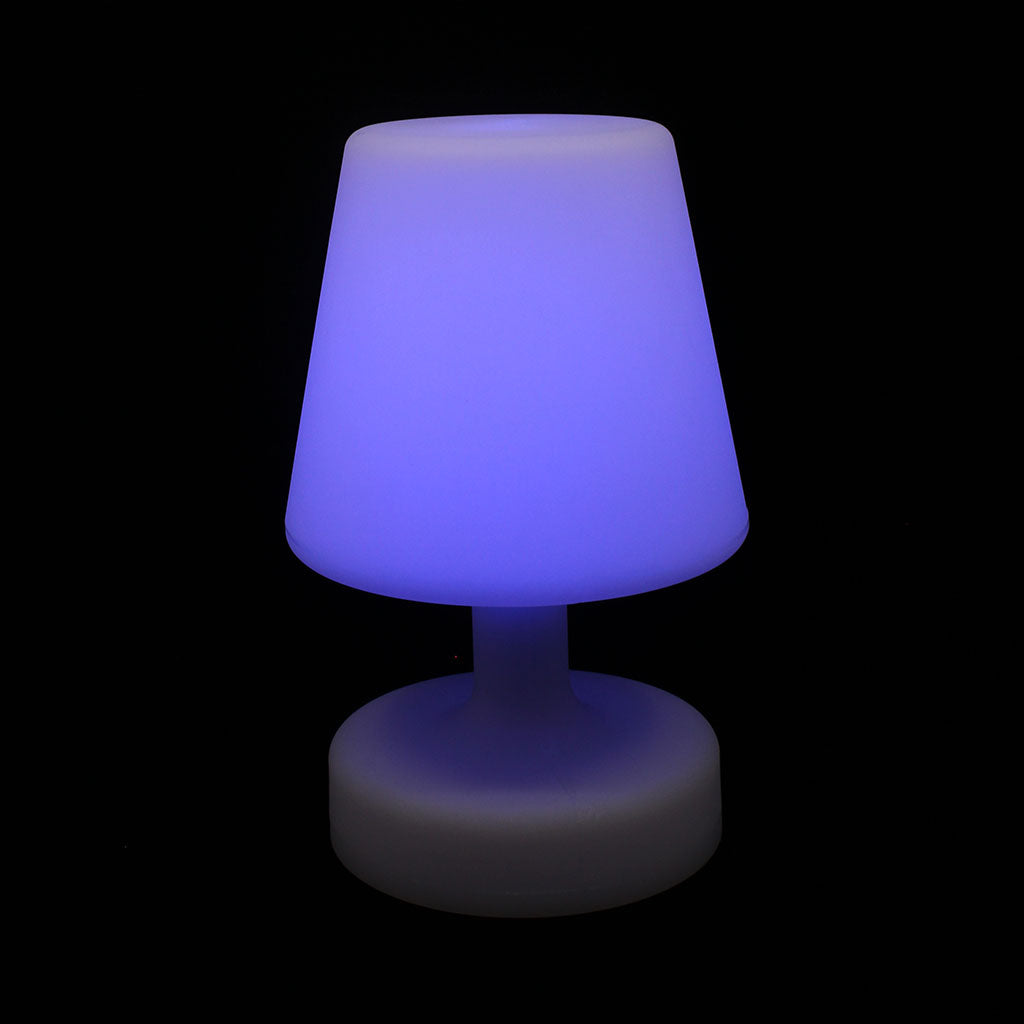 1668-LAMP02_large_Img2.jpg
