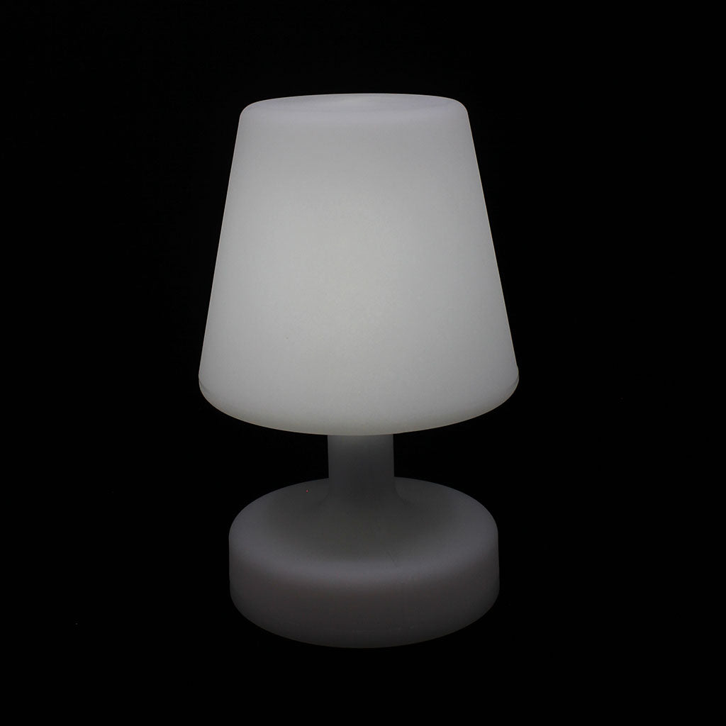 1668-LAMP02_large_Img3.jpg