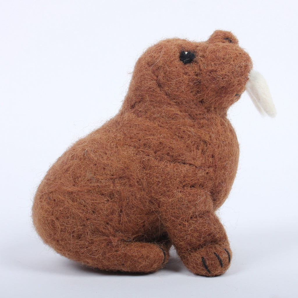 167-P-P1052_walrus_02.jpg