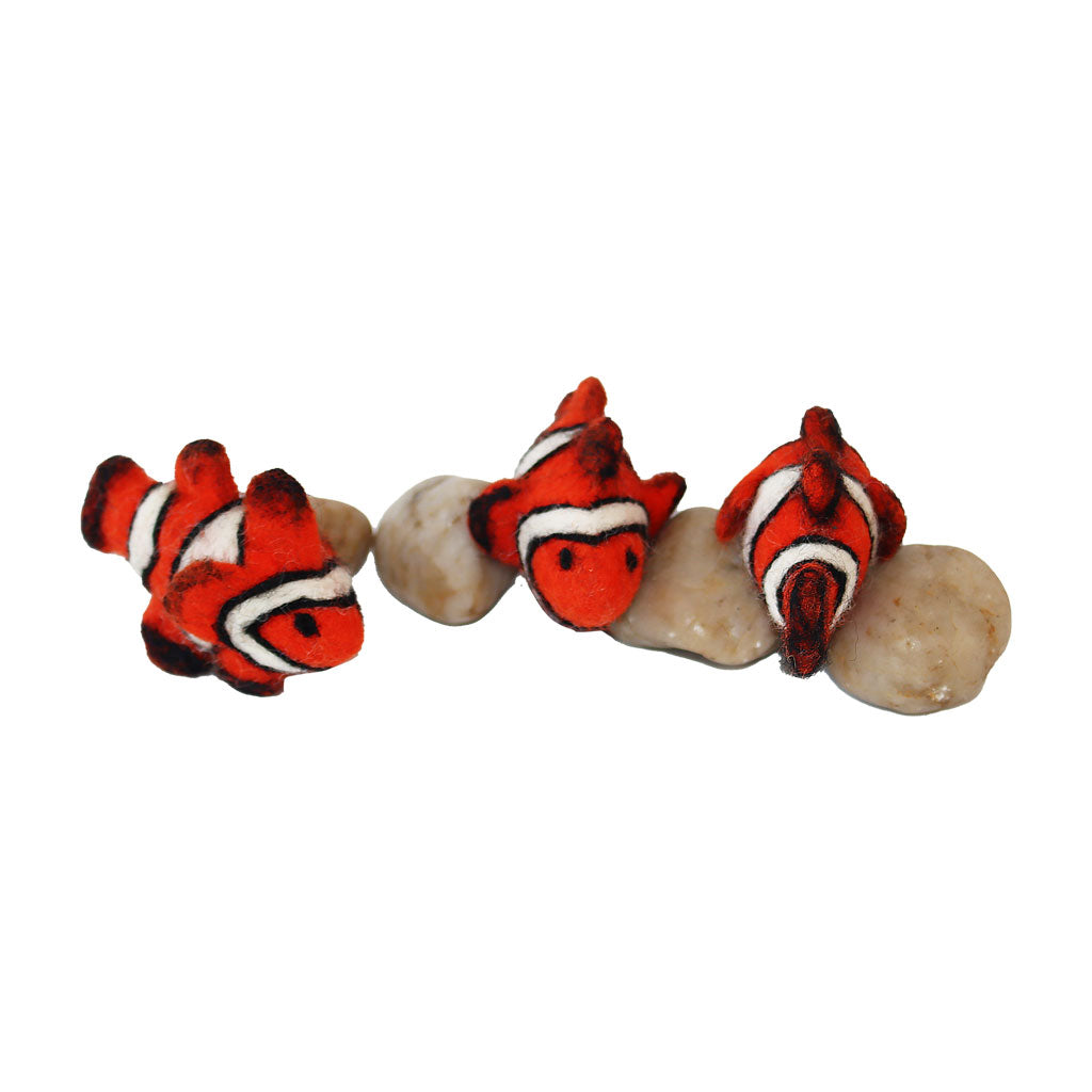 Clownfish – 3pc