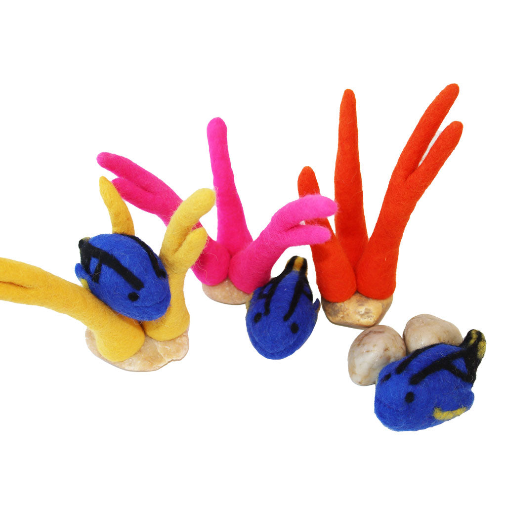 Blue Tang Fish – 3pc