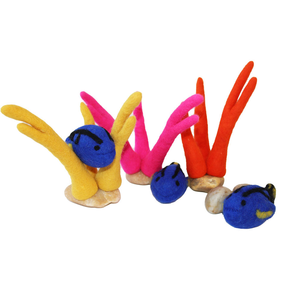 Blue Tang Fish – 3pc