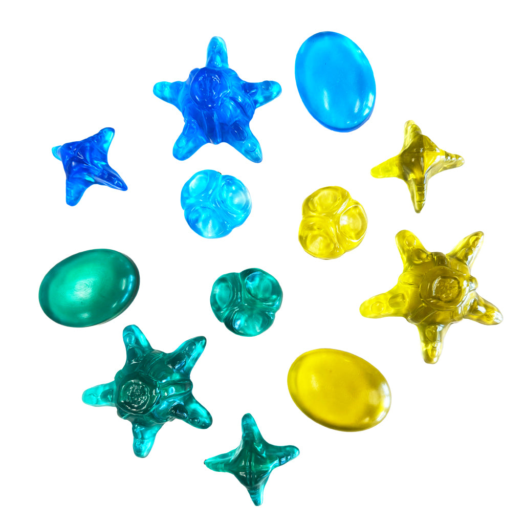 Lucite Sea Creatures – 12pc - Educating Kids