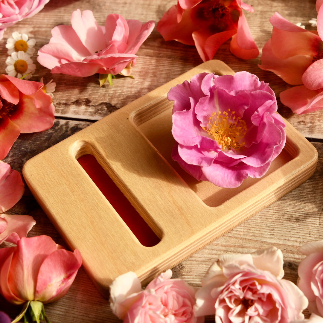 Number Trays 1-9 - Educating Kids