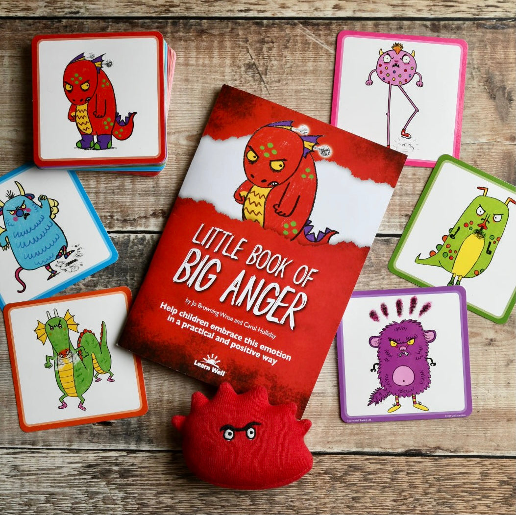 Little Book of Big Anger - Educating Kids