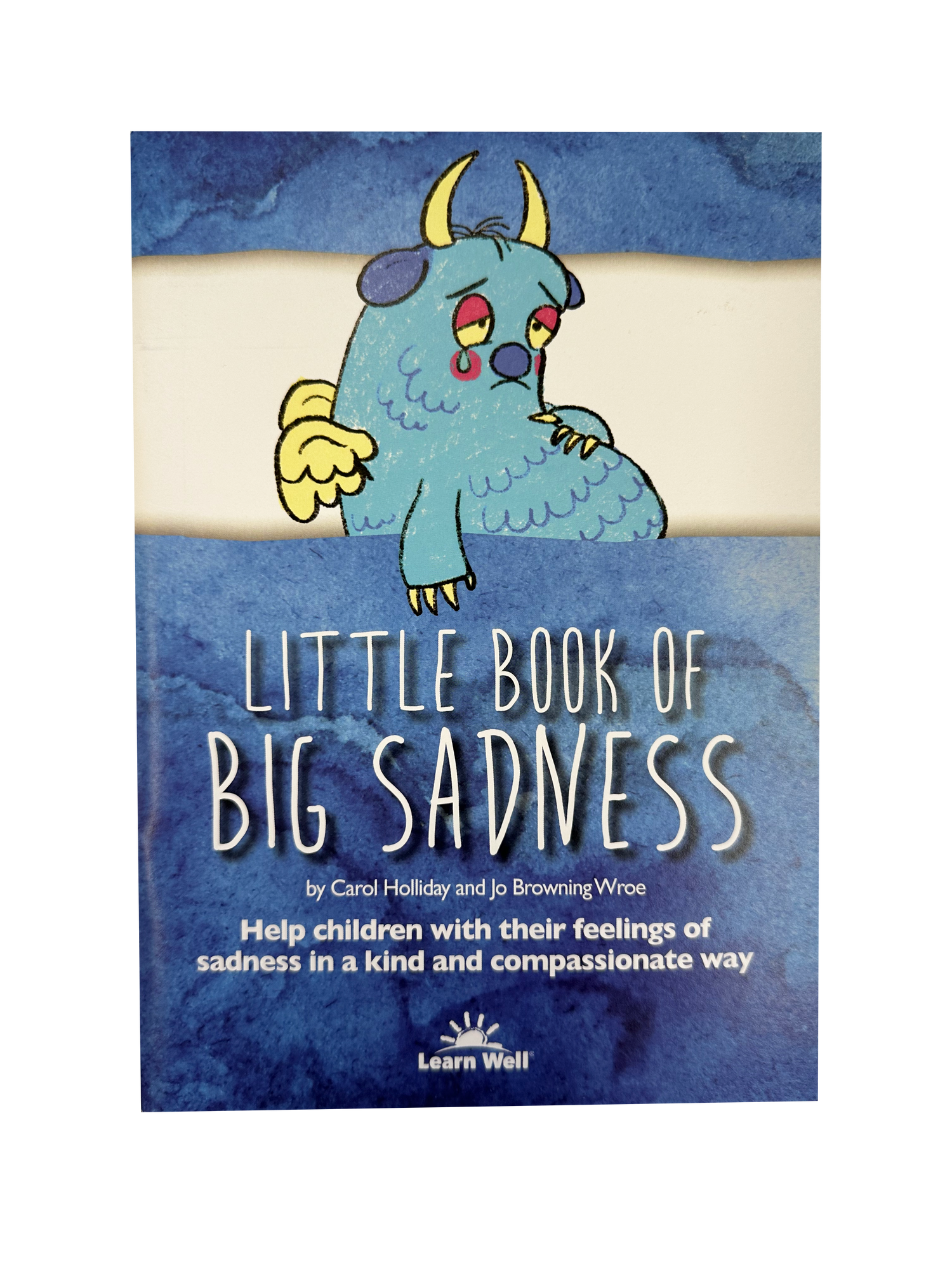 Little Book of Big Sadness