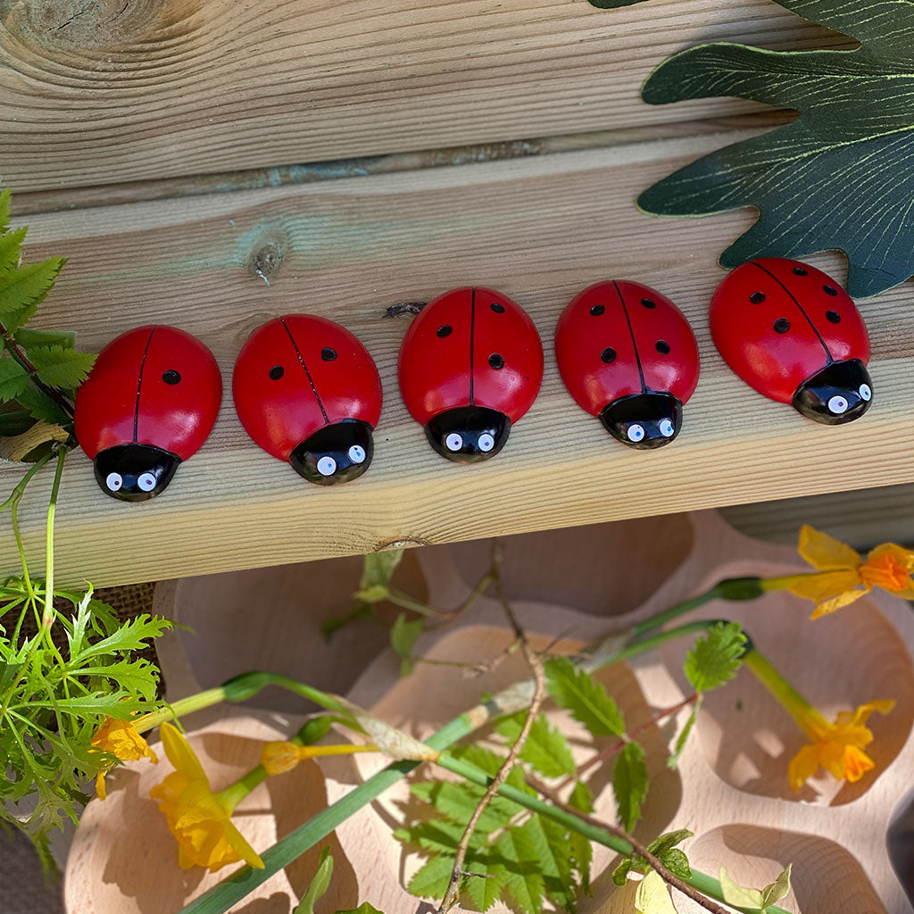 Ladybirds - Counting Stones