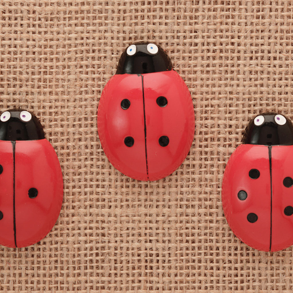 Ladybirds - Counting Stones