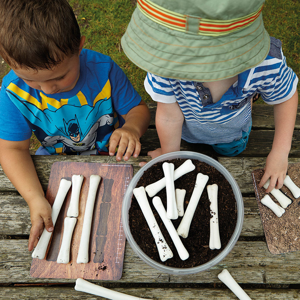 Dinosaur Bones Match and Measure Set