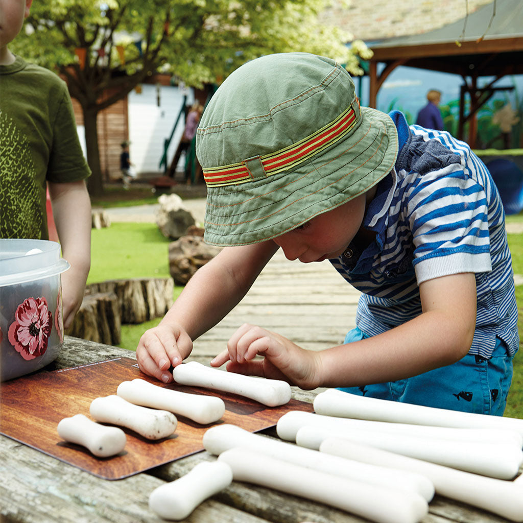 Dinosaur Bones Match and Measure Set