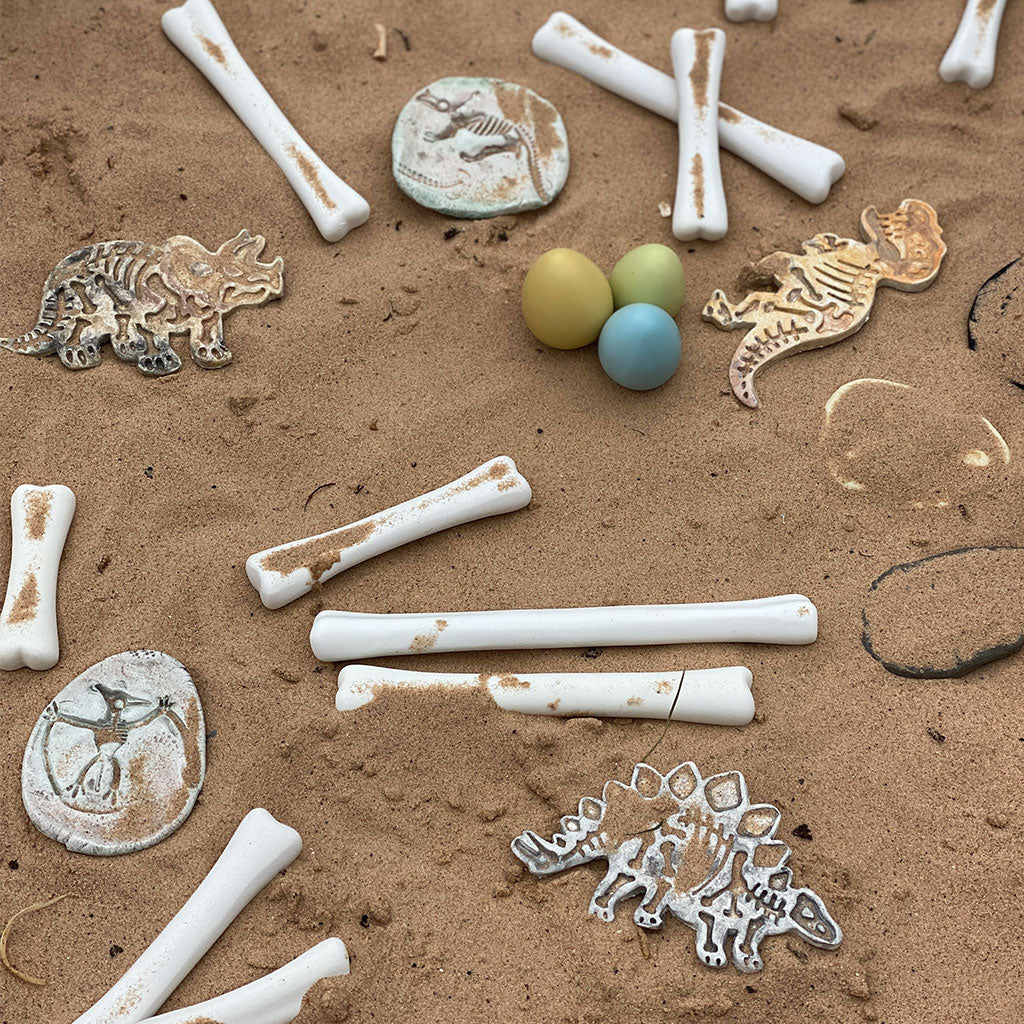 Dinosaur Bones Match and Measure Set
