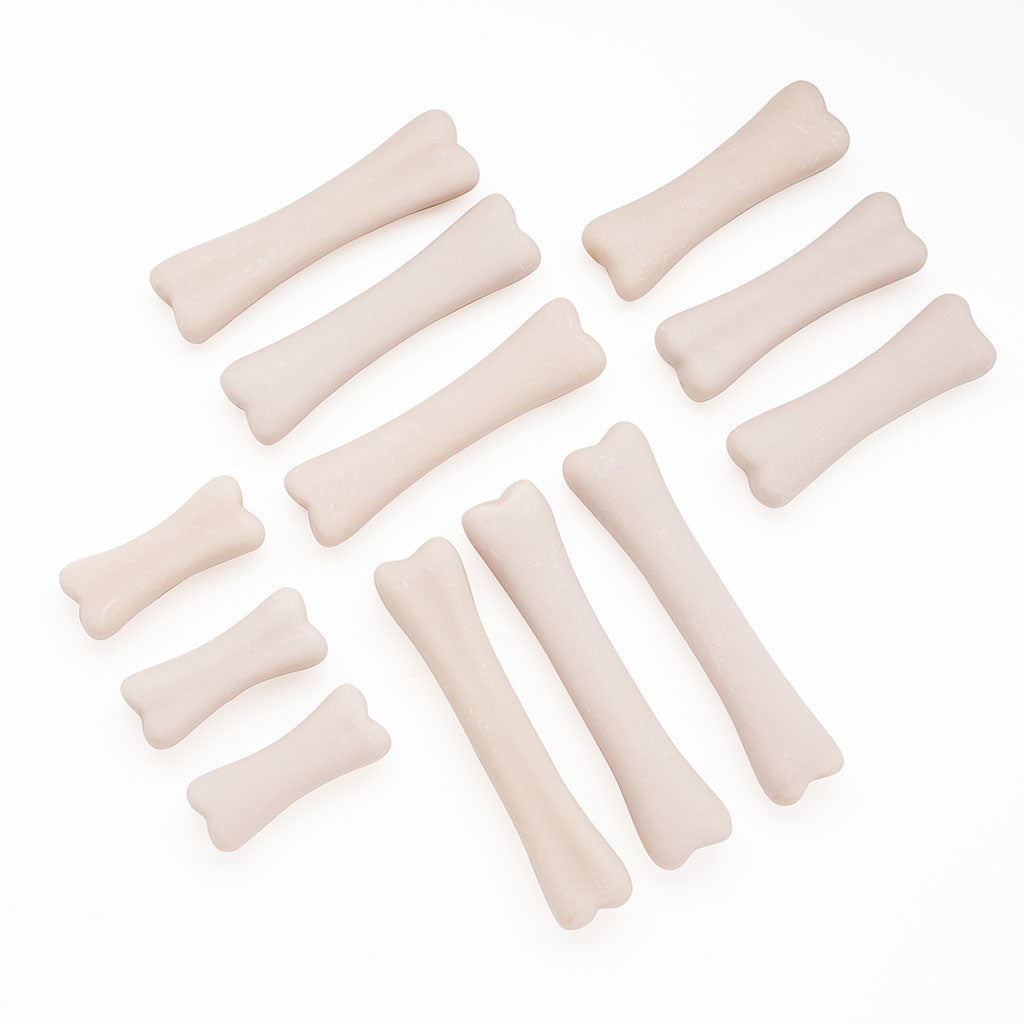 Dinosaur Bones Discovery Set - Set of 12