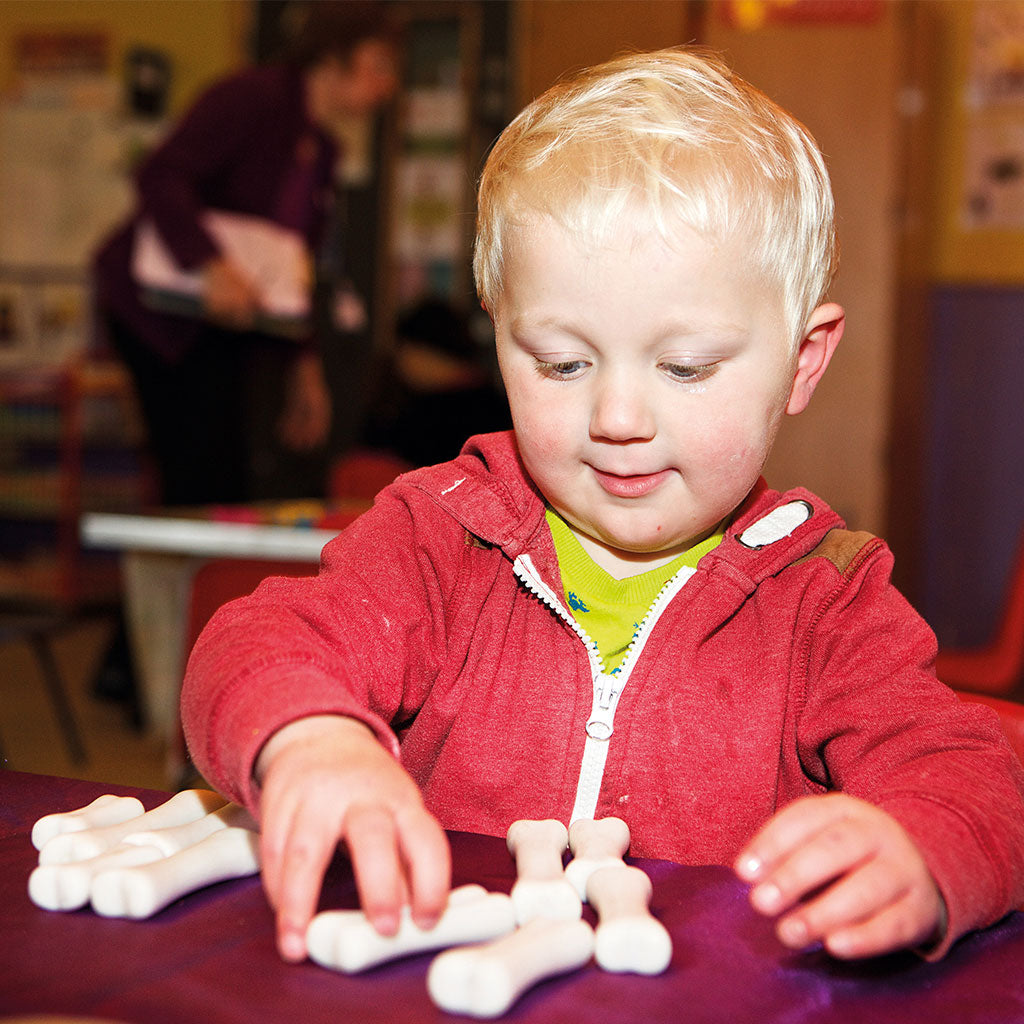 Dinosaur Bones Discovery Set - Set of 12