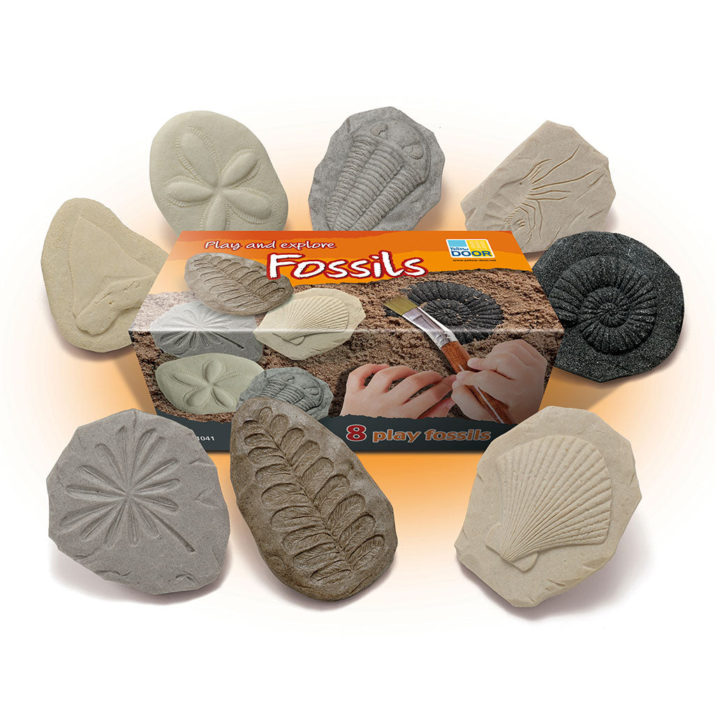 Play & Explore Fossils Set of 8