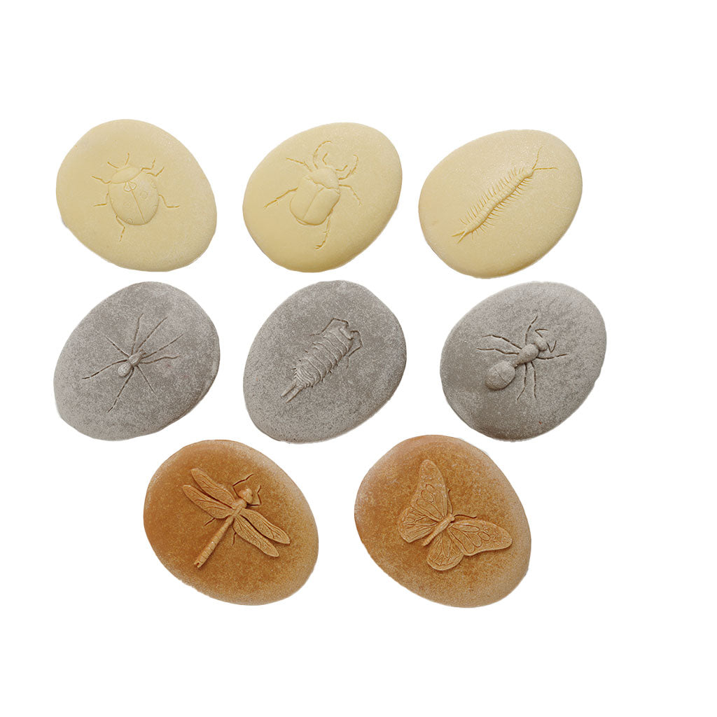 Play & Explore Bugs - Set of 8 - Educating Kids