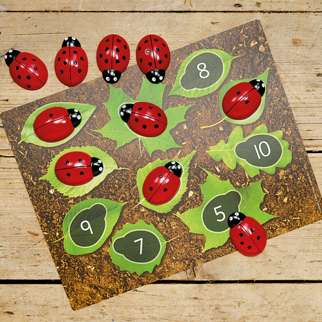 Ladybirds - Early Number Cards Set