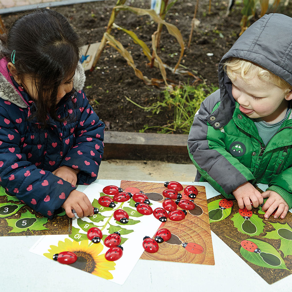 Ladybirds - Early Number Cards Set