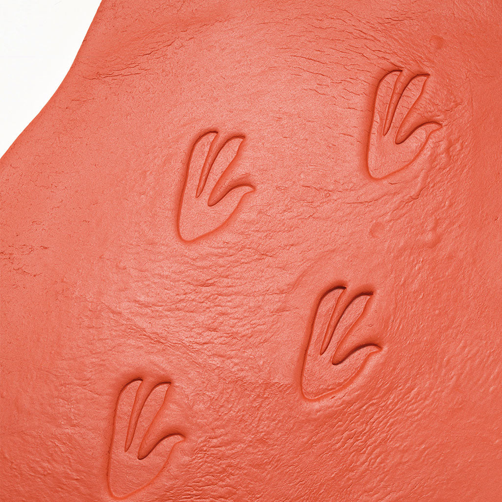 Dinosaur Footprints - Set of 8