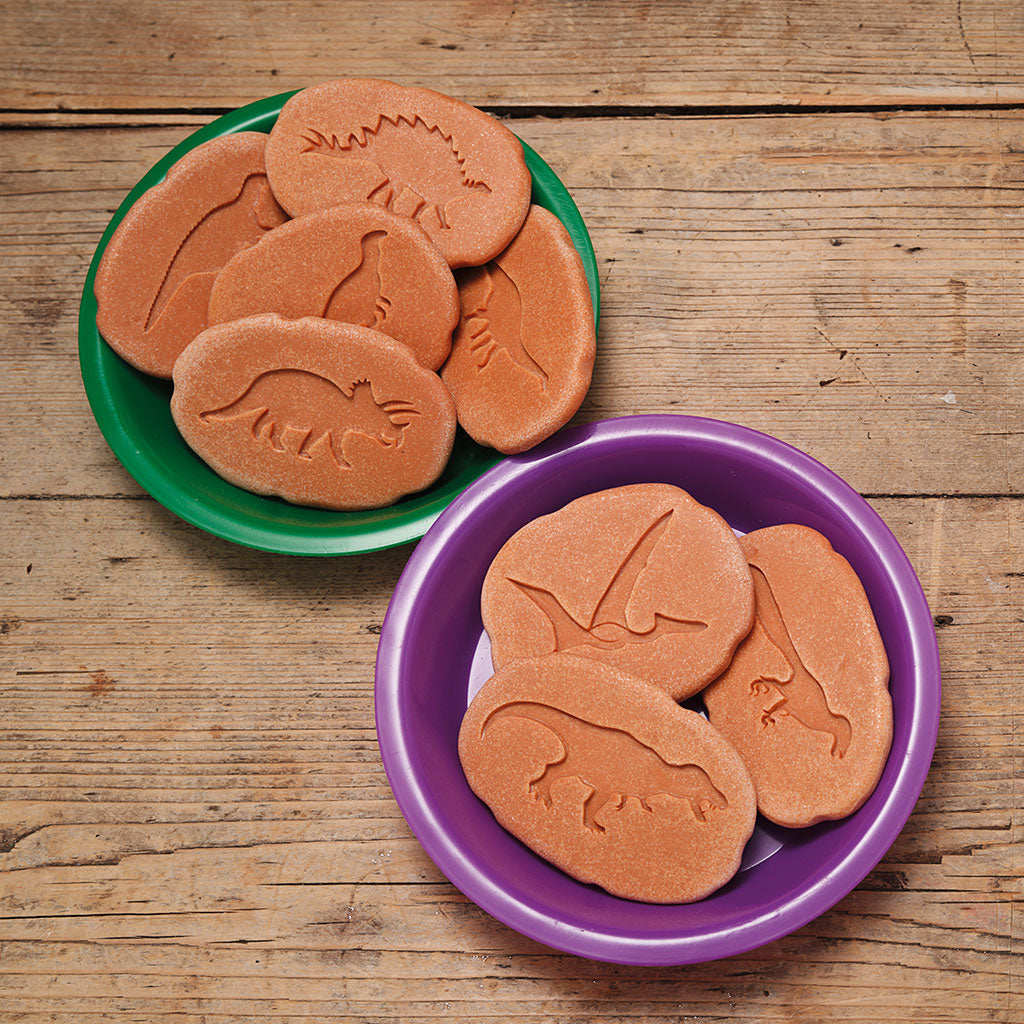 Dinosaur Footprints - Set of 8