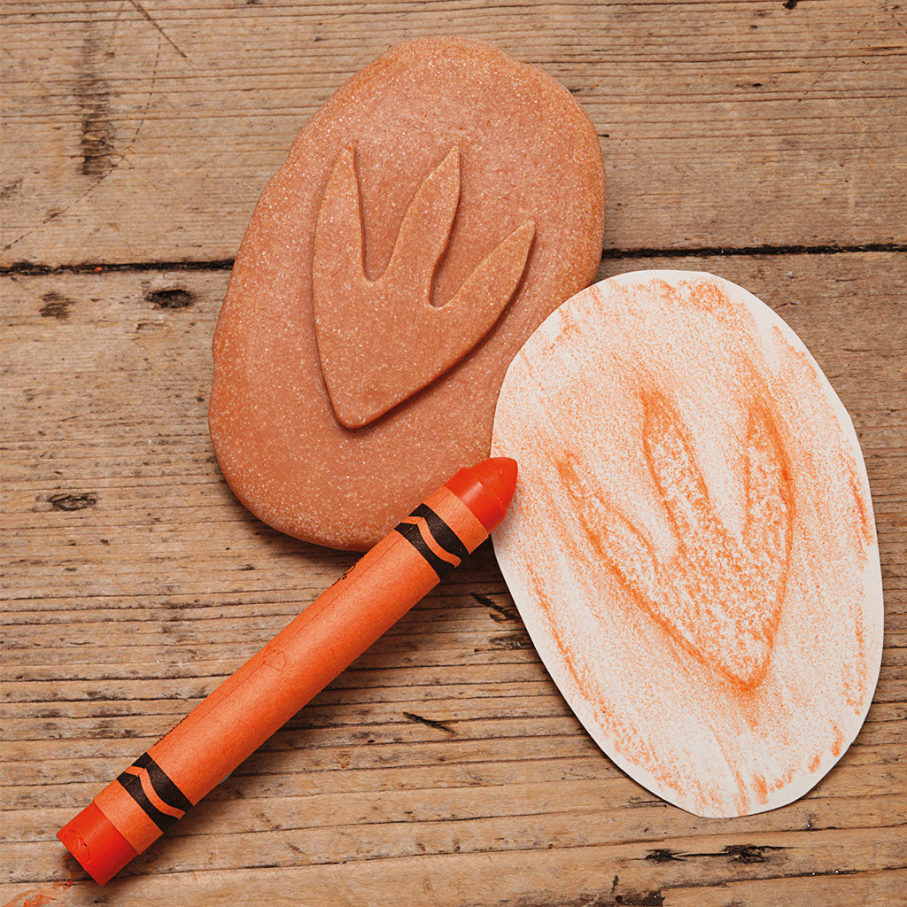 Dinosaur Footprints - Set of 8