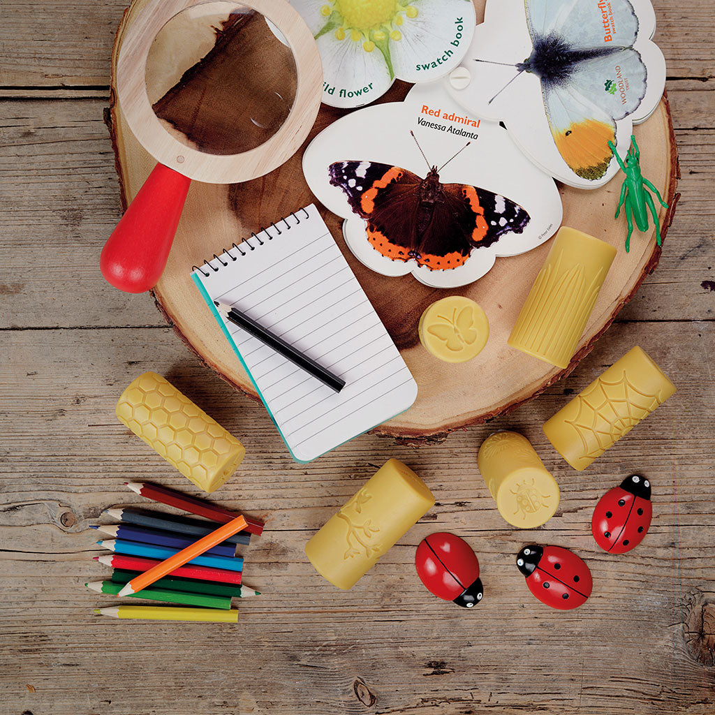 Garden Bug Rollers - Set of 6 - Educating Kids