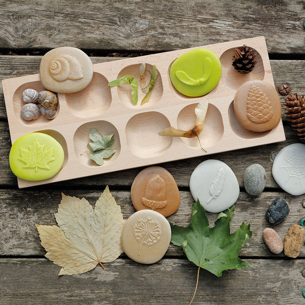 Let's Investigate Nature - Set of 8 - Educating Kids