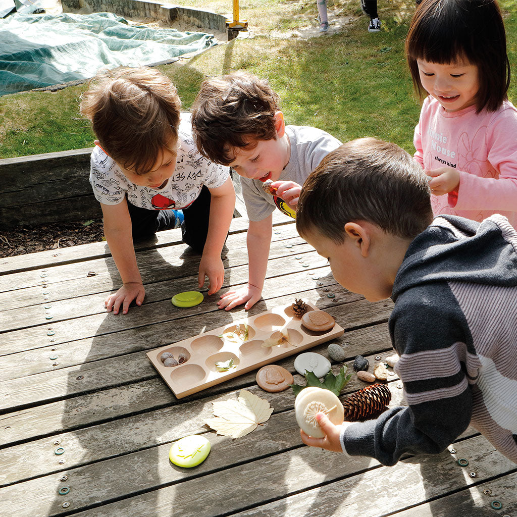 Let's Investigate Nature - Set of 8 - Educating Kids