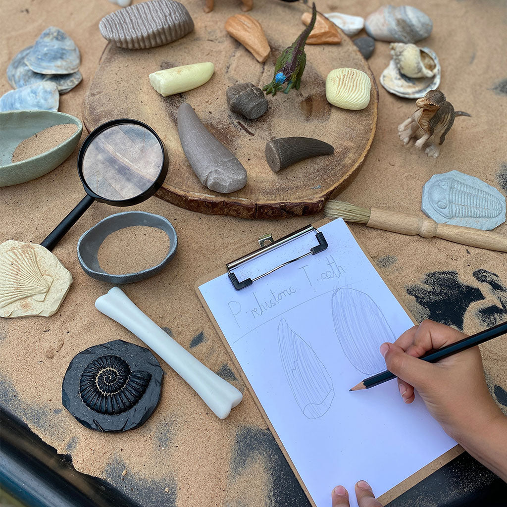 Prehistoric Teeth - Set of 8 - Educating Kids