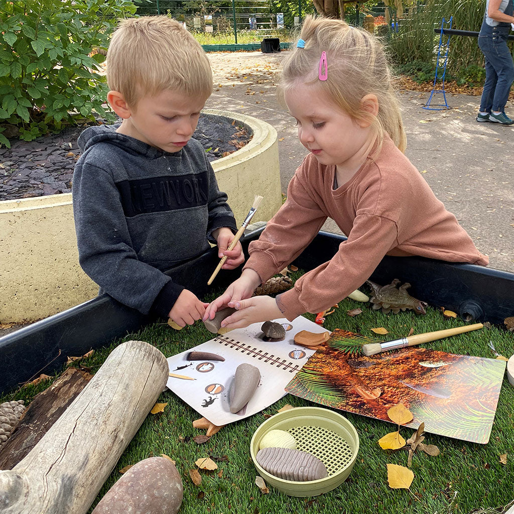 Prehistoric Teeth Activity Cards - Set of 16 - Educating Kids