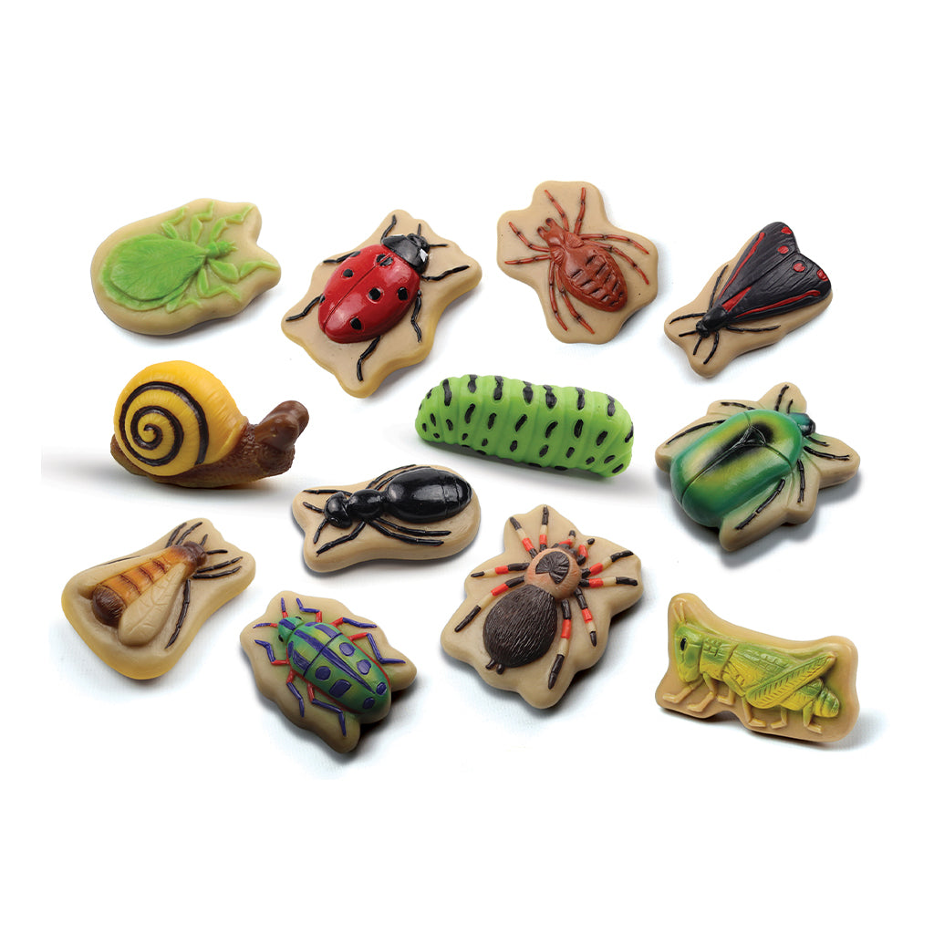 1701-YD1245 Sensory Play Stones - Bug_01.jpg