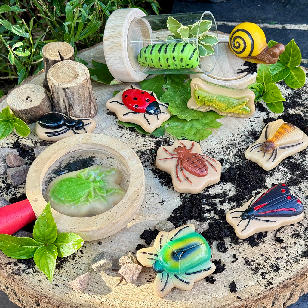 1701-YD1245 Sensory Play Stones - Bug_05.jpg