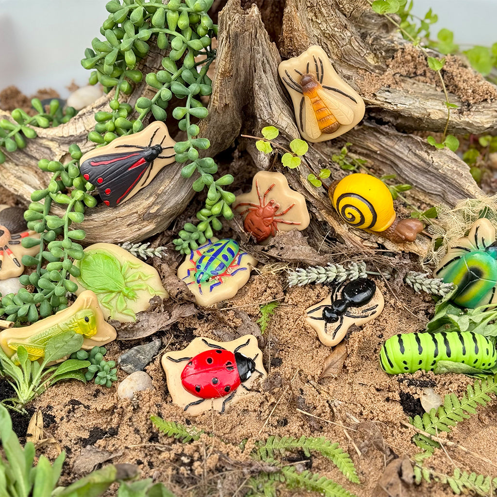 1701-YD1245 Sensory Play Stones - Bug_07.jpg