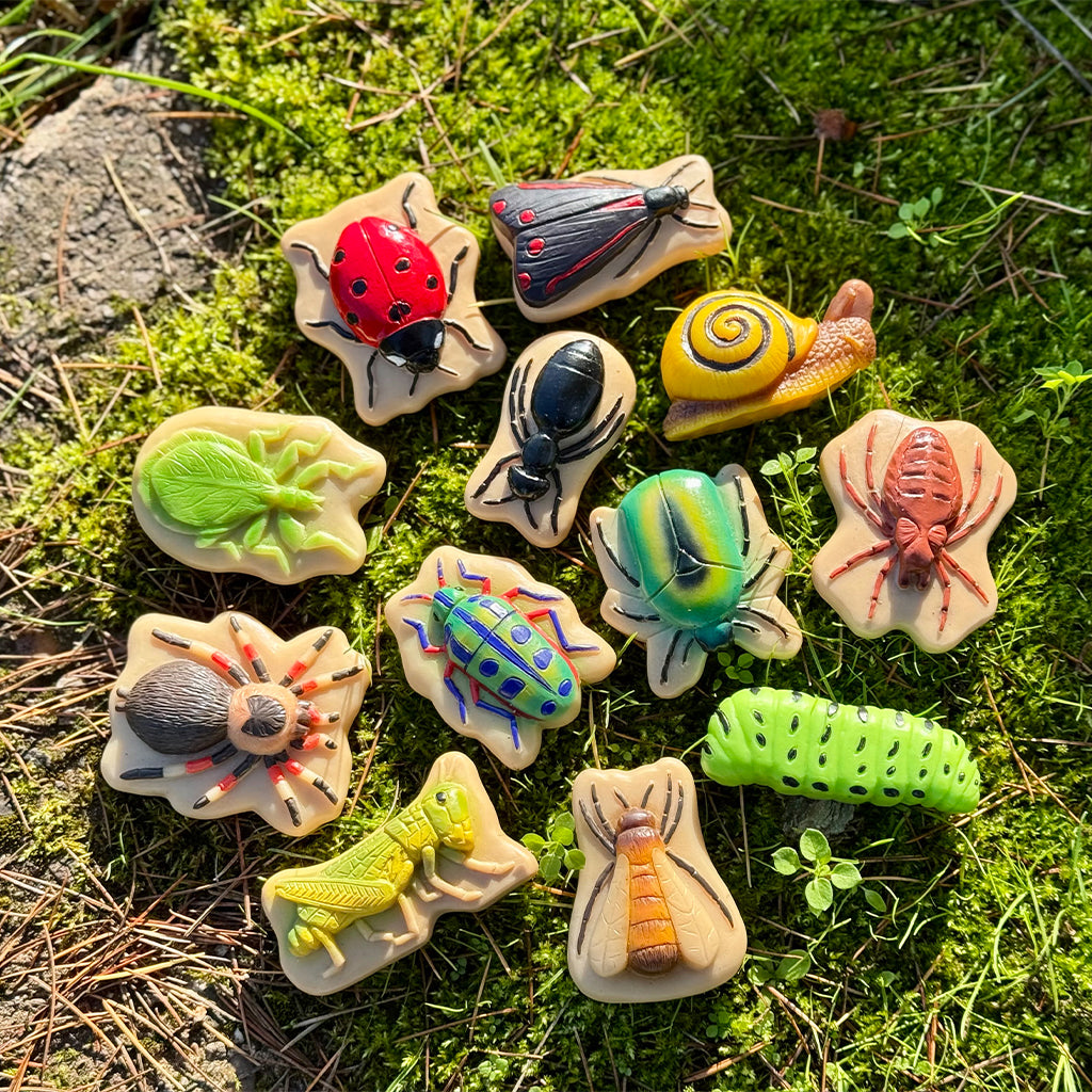 1701-YD1245 Sensory Play Stones - Bug_08.jpg