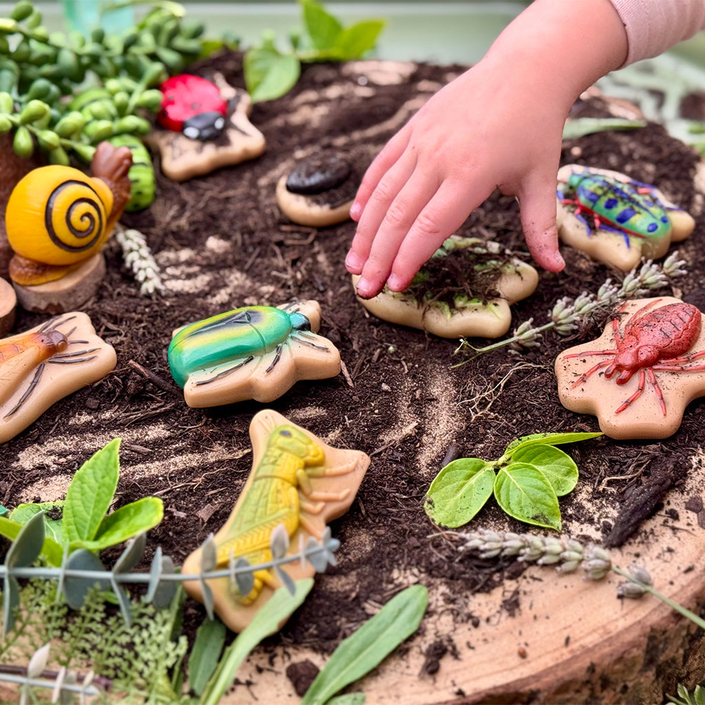1701-YD1245 Sensory Play Stones - Bug_10.jpg