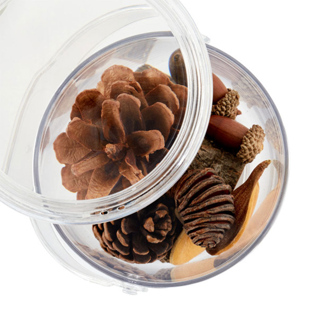 Discovery Magnifying Containers – 2pc - Educating Kids