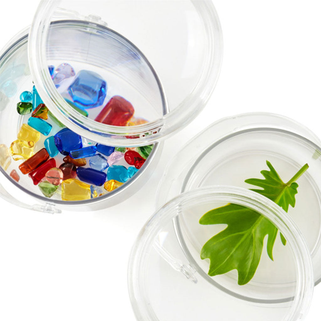 Discovery Magnifying Containers – 2pc - Educating Kids