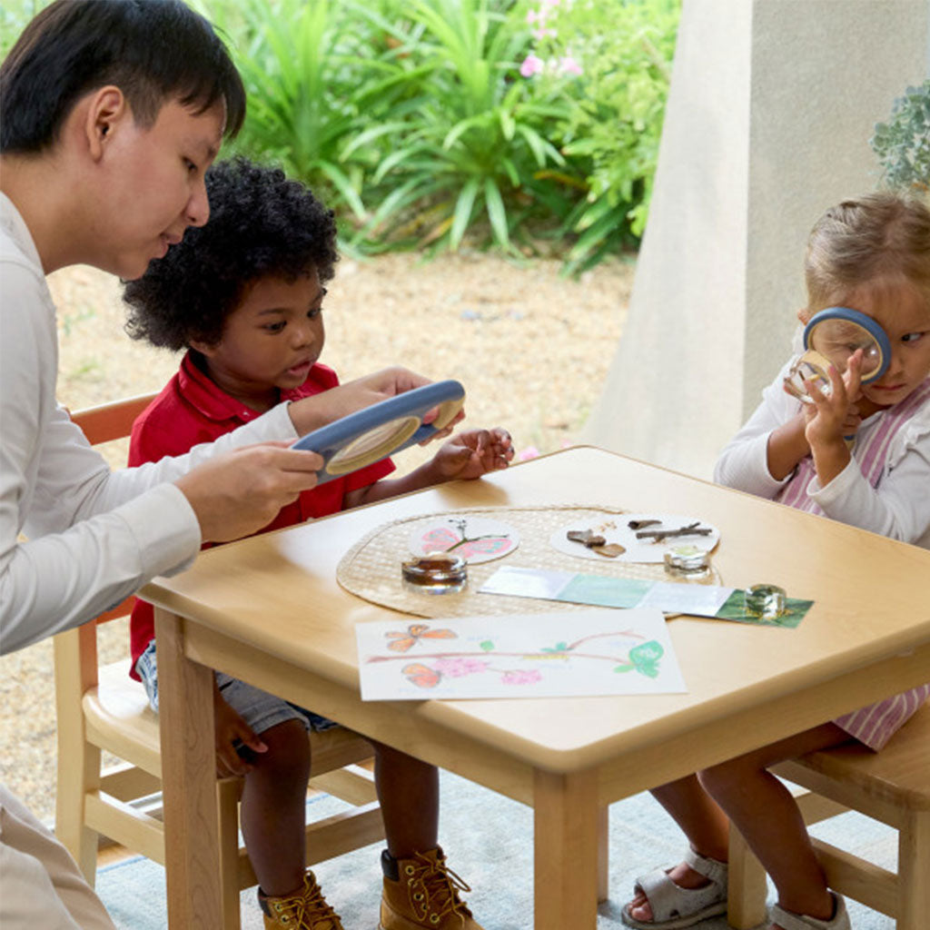 Specimen Life Cycle Puzzle Butterfly – 4pc - Educating Kids